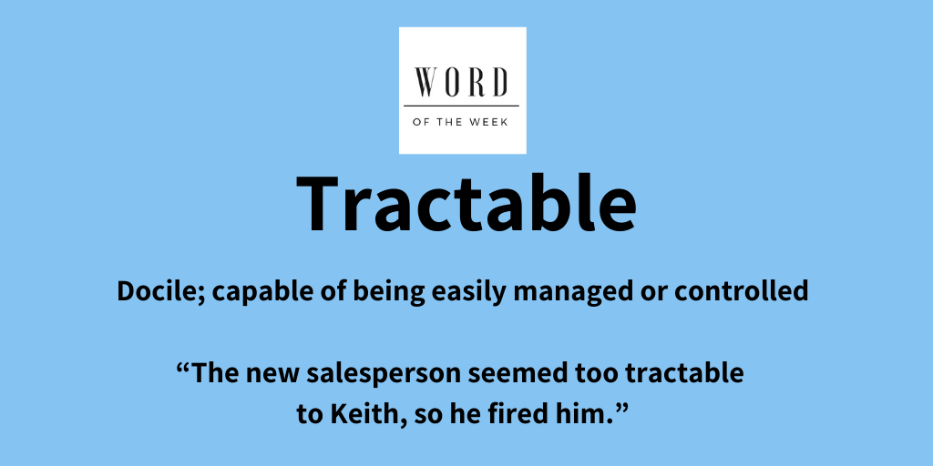 word-of-the-week-tractable-executive-writer